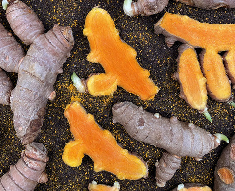 pieces of turmeric